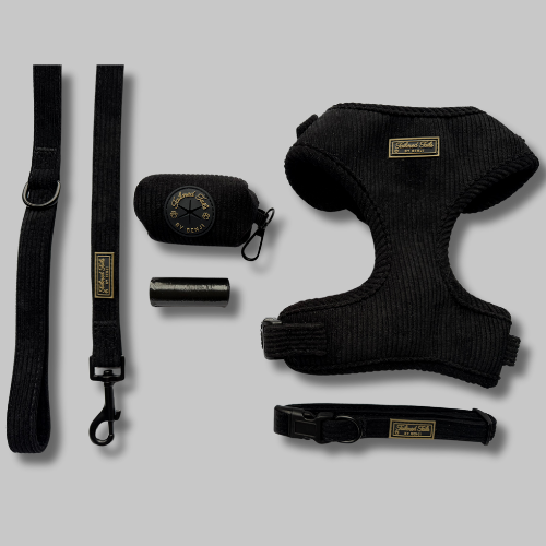 Ultimate Midnight Elegance Bundle