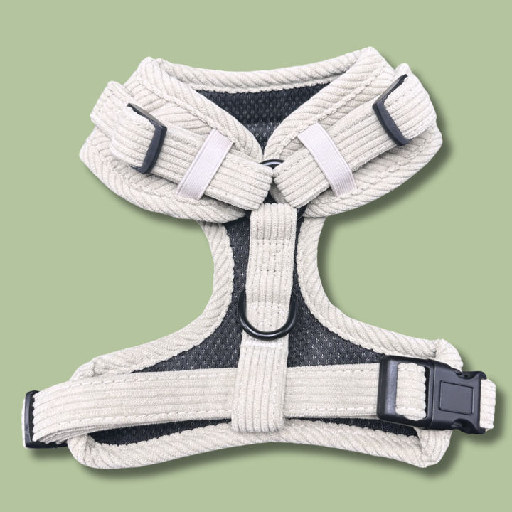 Ultimate Sage Serenity Bundle