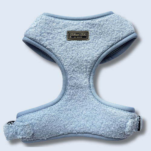 Ultimate Aqua Dreams Bundle