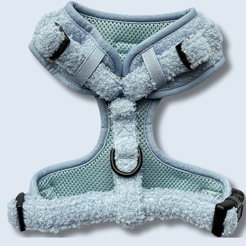 Ultimate Aqua Dreams Bundle
