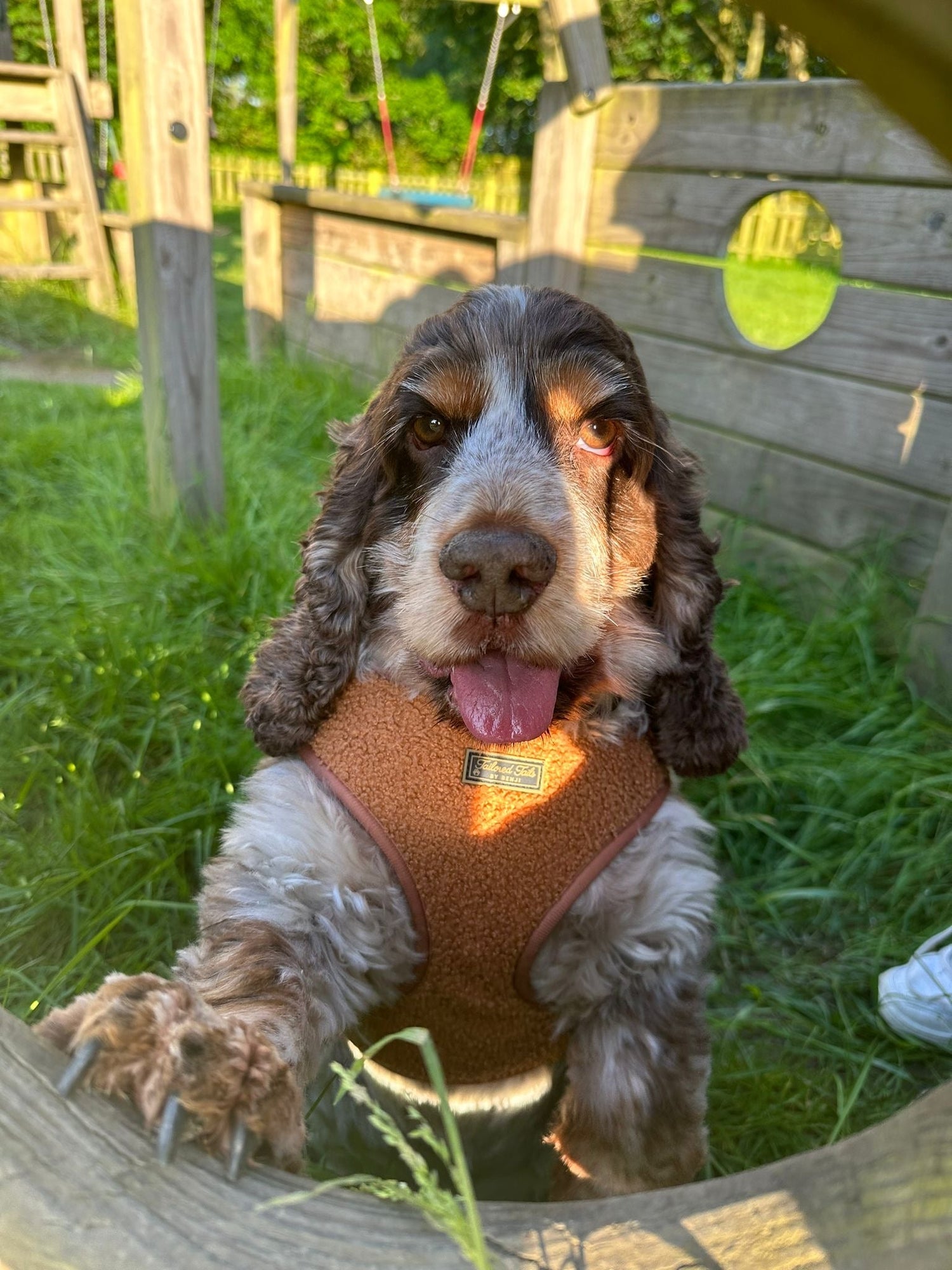 Ultimate Almond Charm Bundle - Tailored Tails by Benji