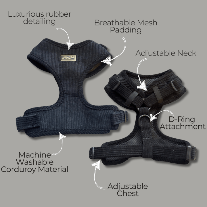 Ultimate Midnight Elegance Bundle - Tailored Tails by Benji