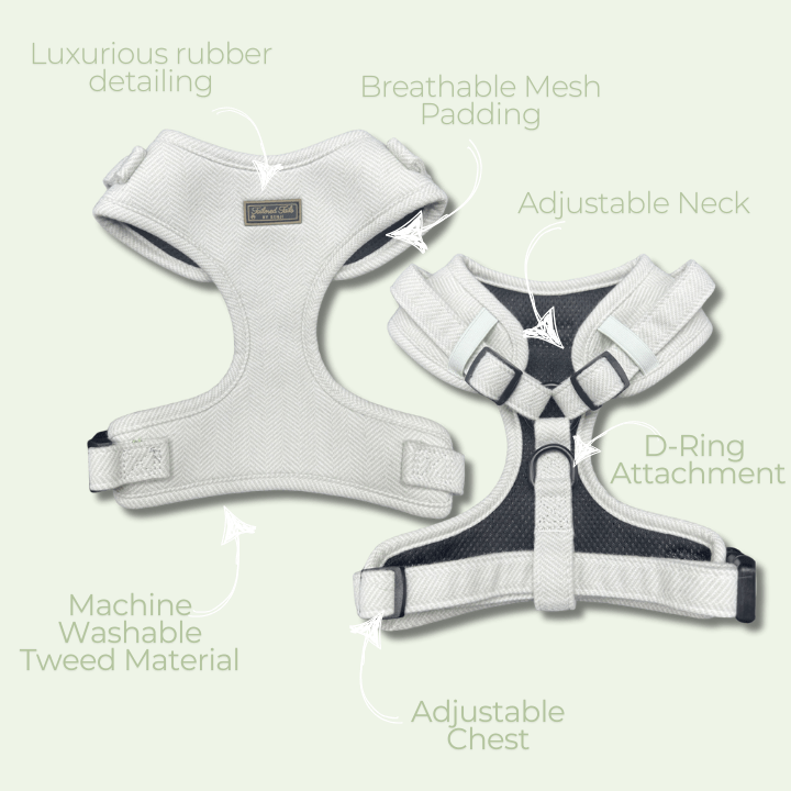Ultimate Minty Fresh Bundle - Tailored Tails by Benji