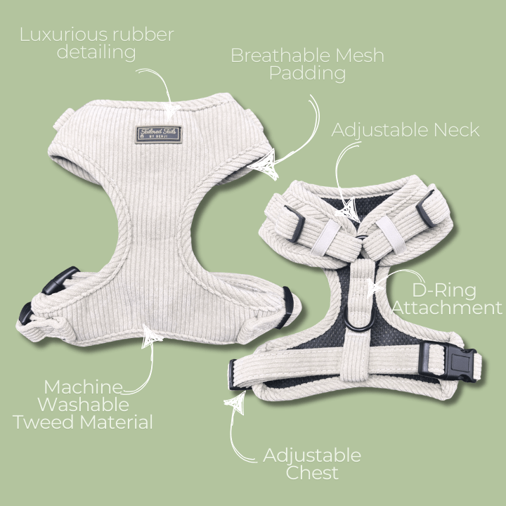 Ultimate Sage Serenity Bundle - Tailored Tails by Benji
